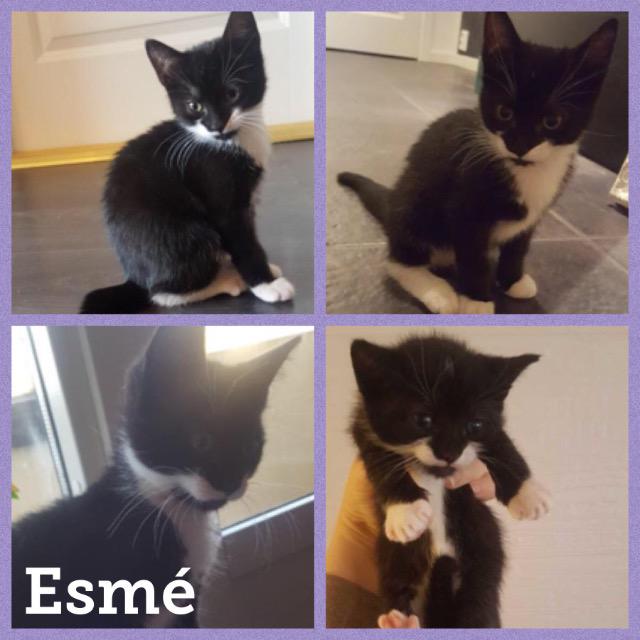 Esme1017.jpg