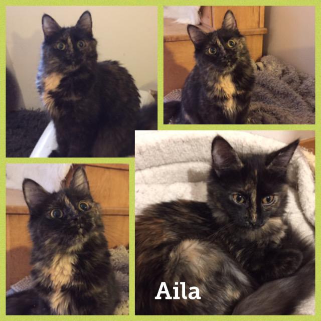 Aila0218.jpg