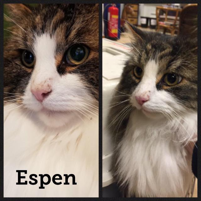 Espen0118.jpg