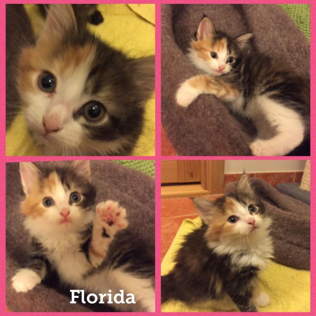 Florida0118.jpg