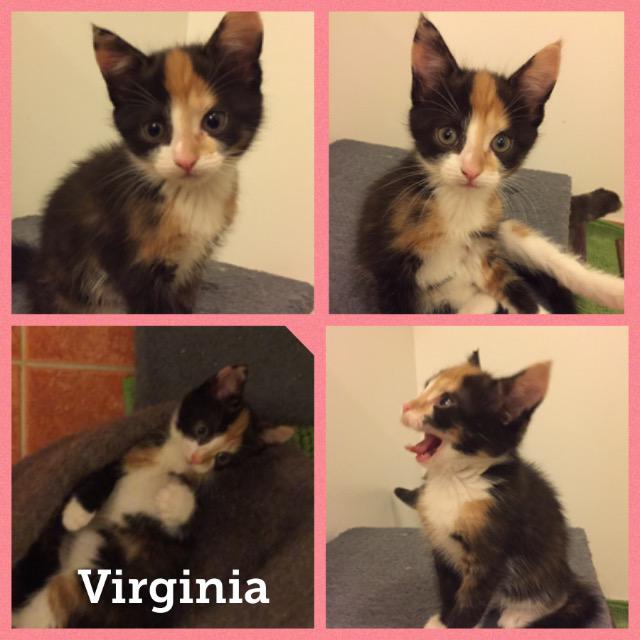 Virginia0118.jpg