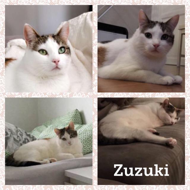 Zuzuki0917.jpg