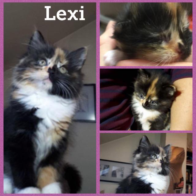 lexi1217.jpg