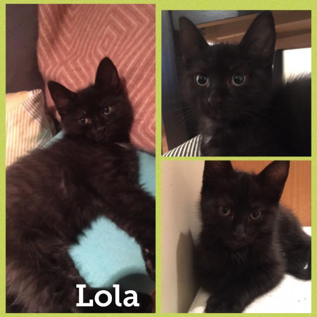 lola1217.jpg