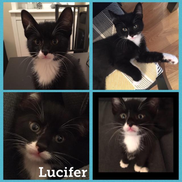 lucifer1217.jpg