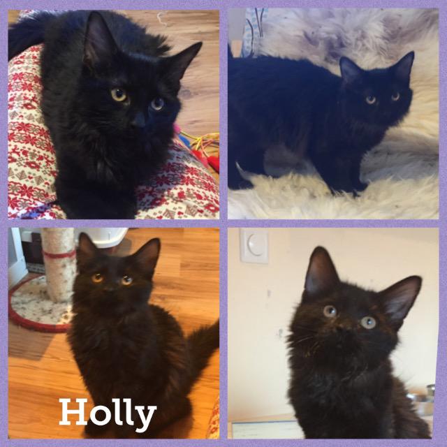 Holly0118.jpg