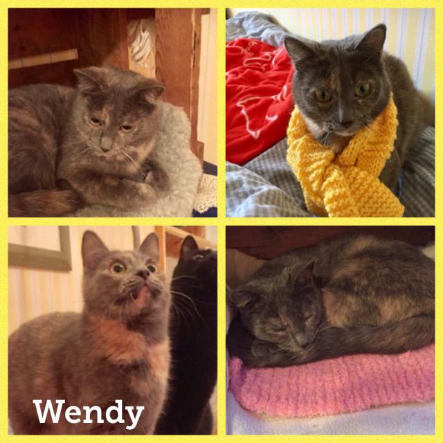 Wendy0318.jpg