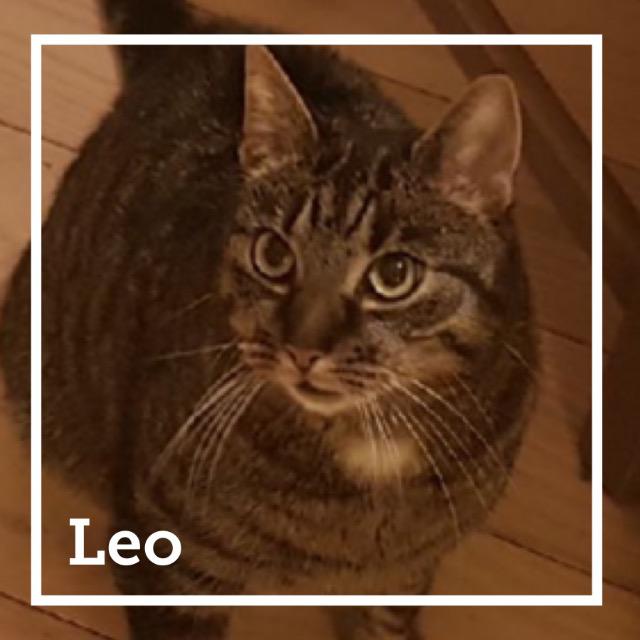 leo0318.jpg