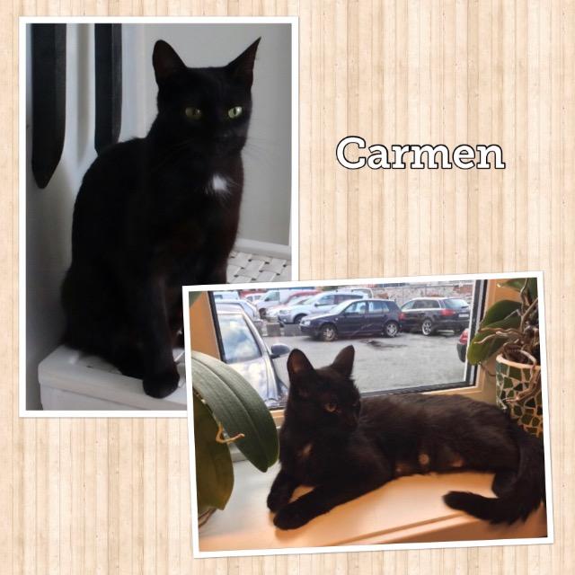 Carmen0918.jpg