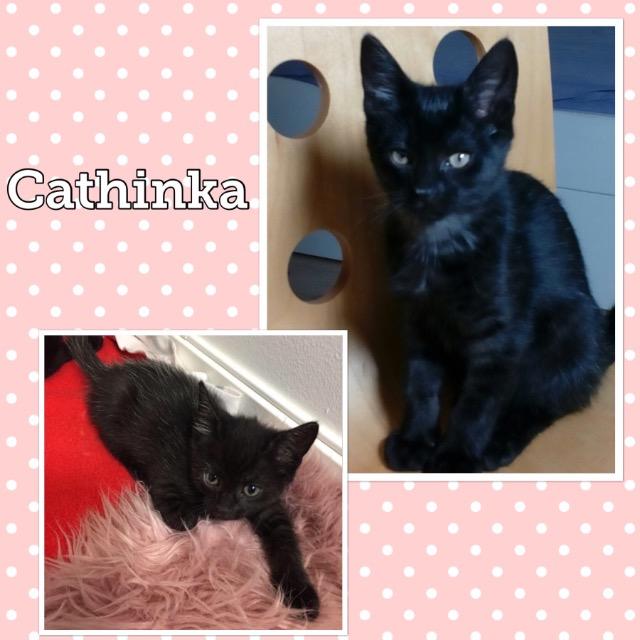 Cathinka0918.jpg