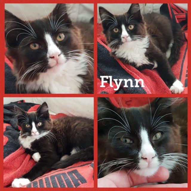 Flynn0918.jpg
