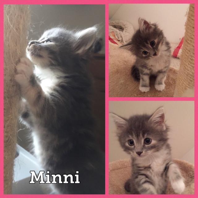 Minni1018.jpg