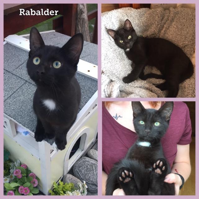 Rabalder0718.jpg