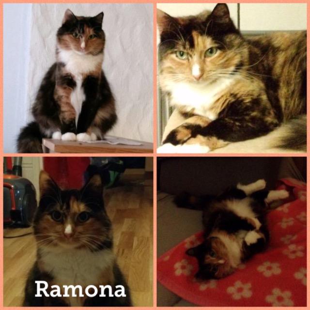 Ramona0618.jpg