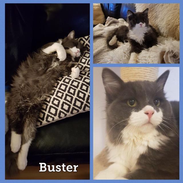Buster0219.jpg