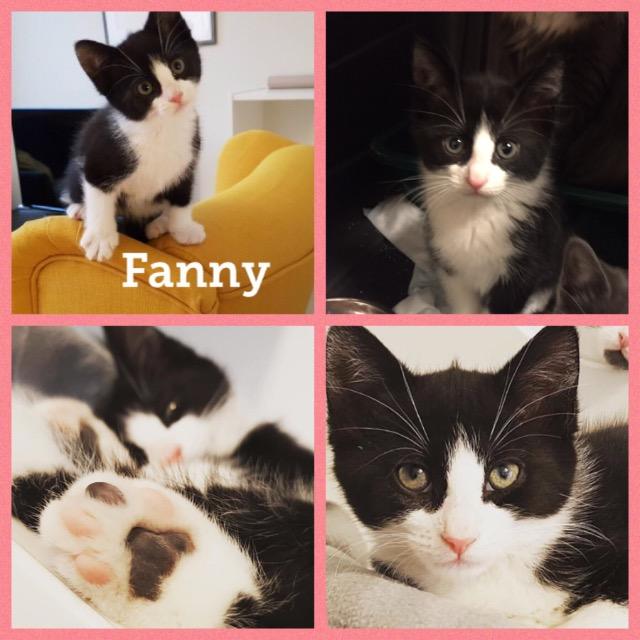 Fanny0119.jpg
