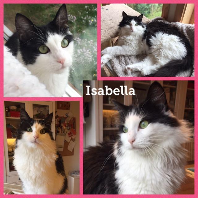 Isabella0819.jpg