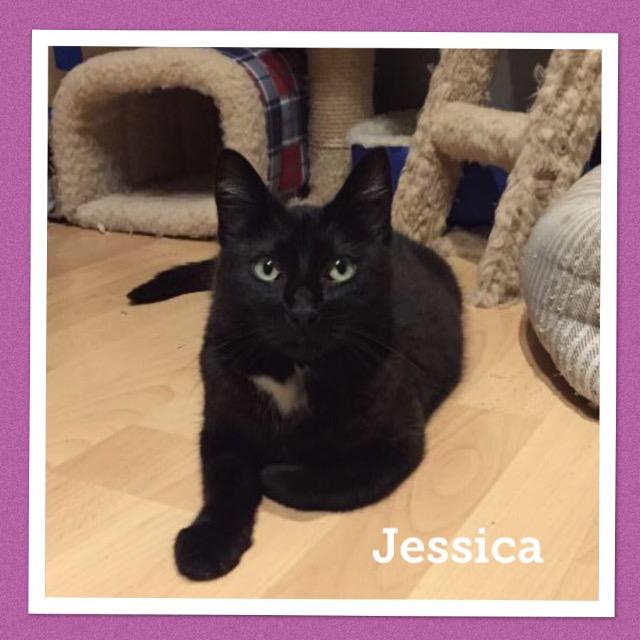 Jessica0119.jpg