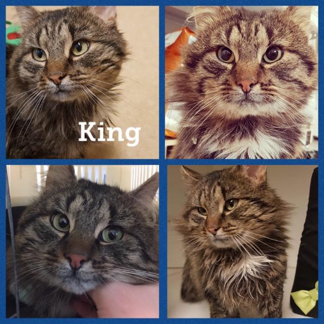 King0119.jpg