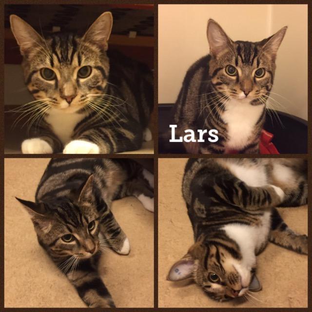 Lars0119.jpg