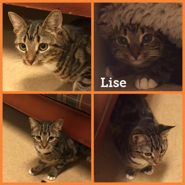 Lise0119.jpg