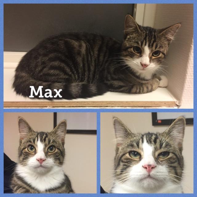 Max0119.jpg