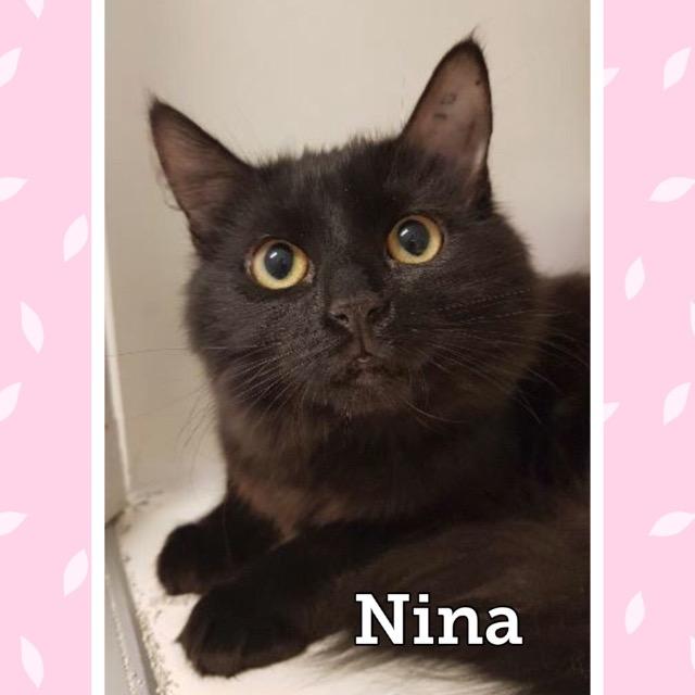 Nina0319.jpg