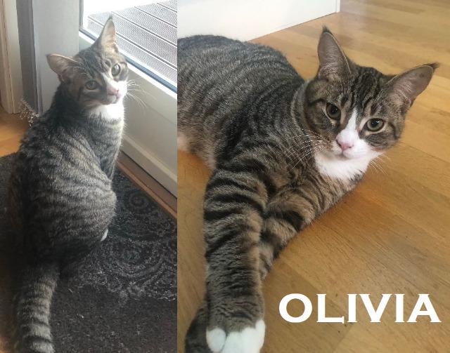 Olivia0119.jpg