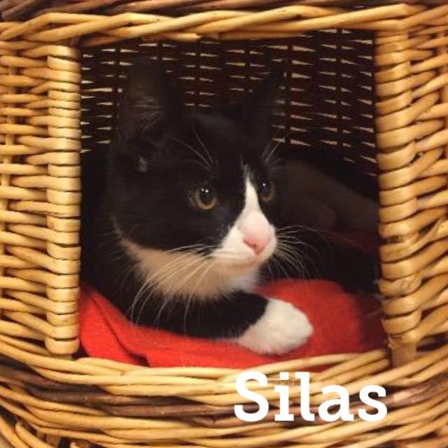 Silas0119.jpg