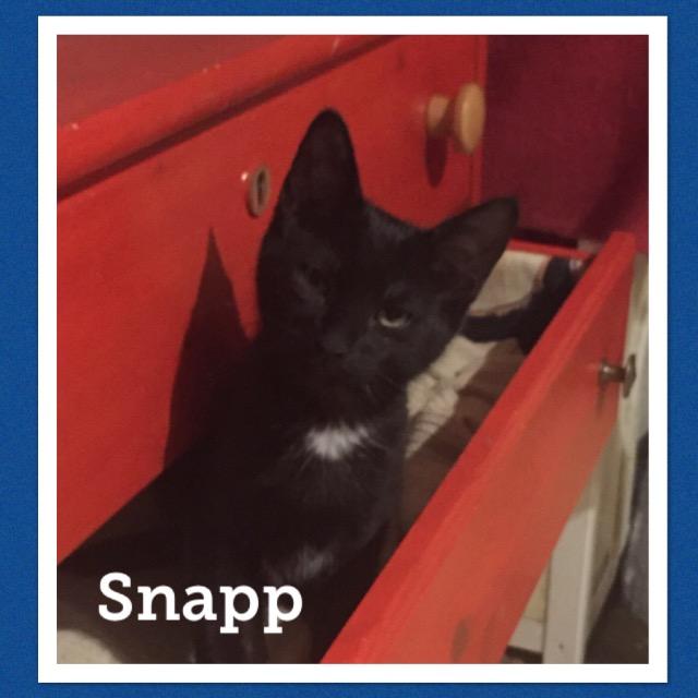Snapp0119.jpg