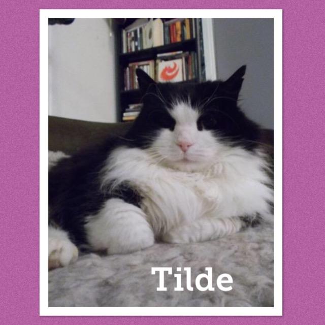 Tilde0219.jpg