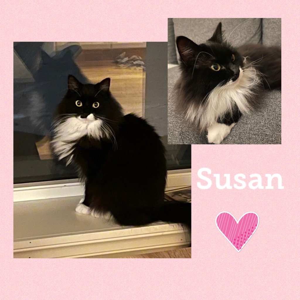 susan0222.jpg