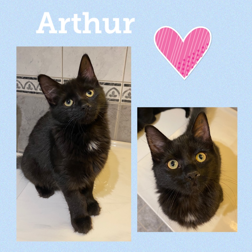 arthur1122.jpg