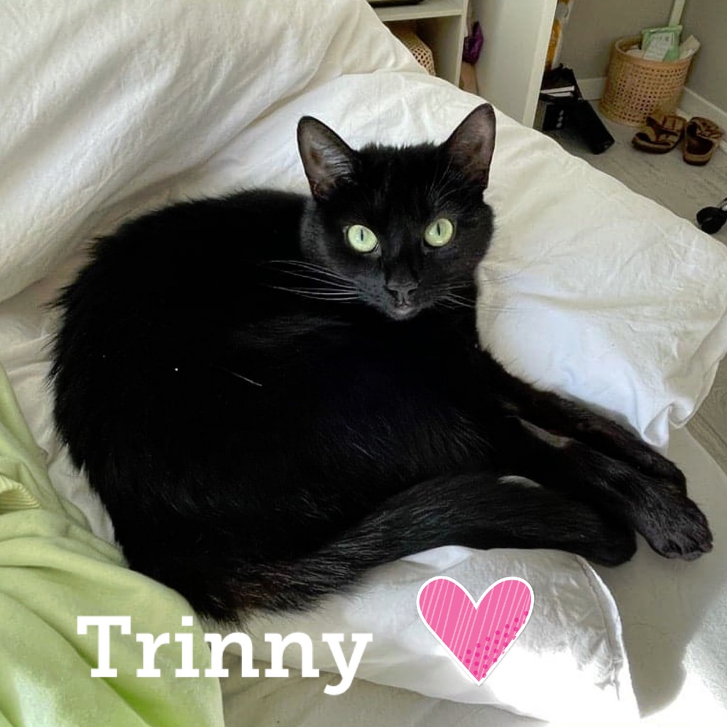 trinny0522.jpg