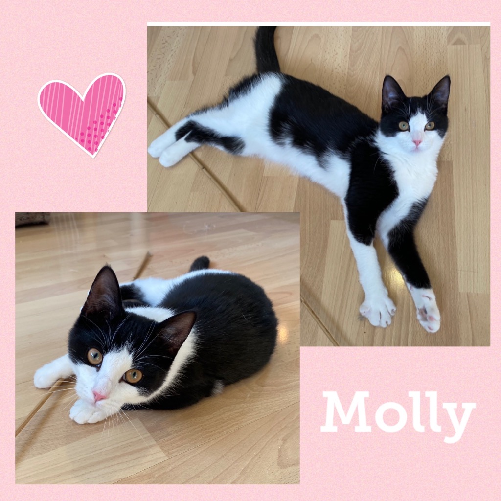 molly0523.jpg