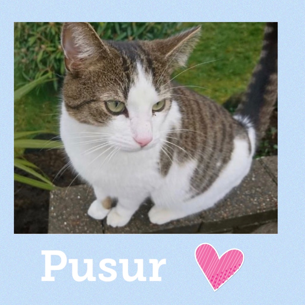 pusur0523.jpg