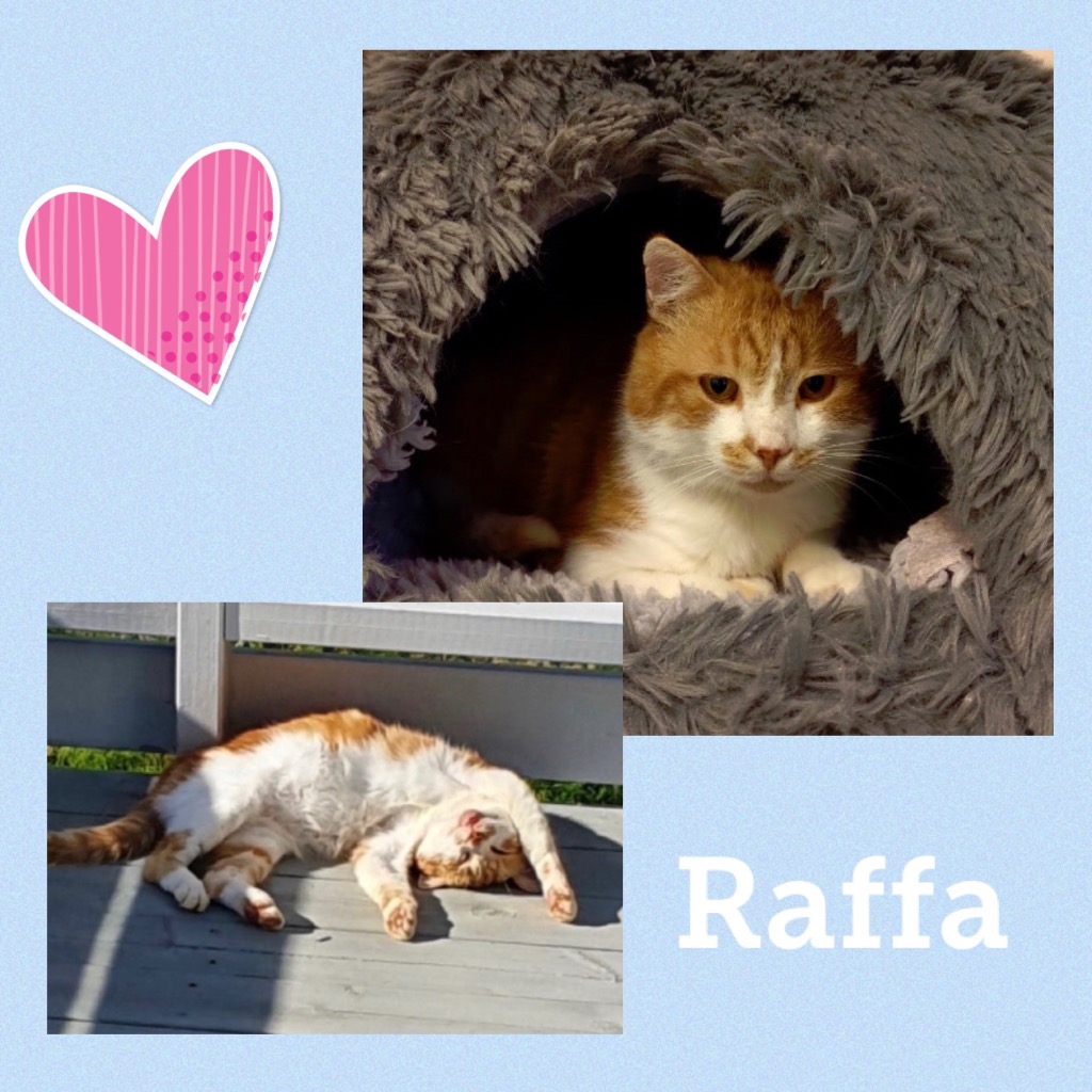 raffa0523.jpg