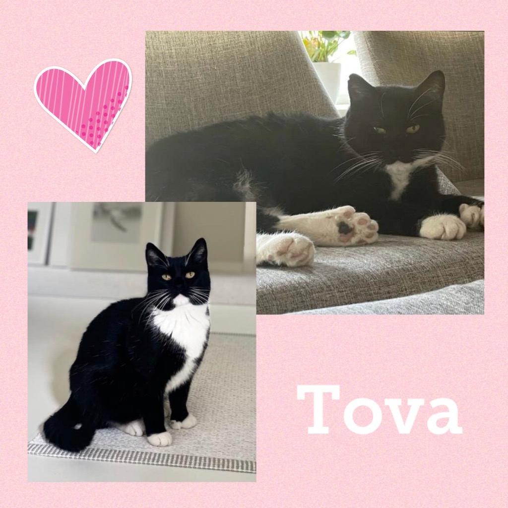 tova0523.jpg