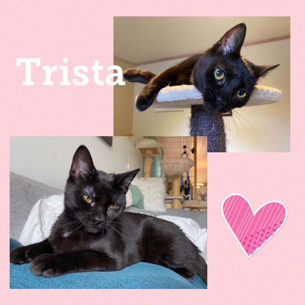 trista0523.jpg