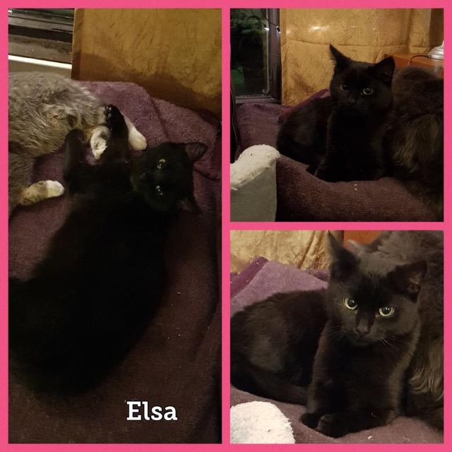 Elsa0519.jpg