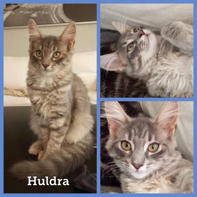 Huldra0919.jpg