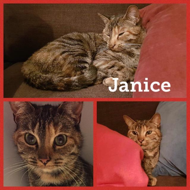 Janice1119.jpg