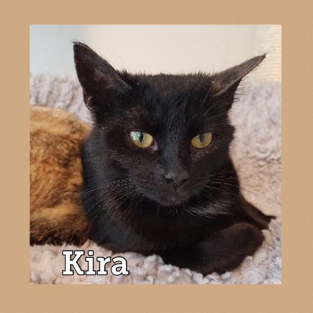 Kira0519.jpg