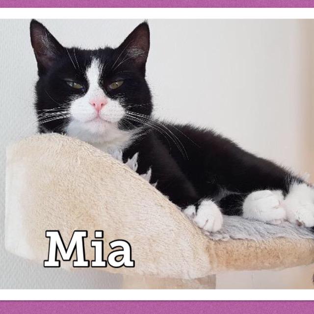 Mia0919.jpg