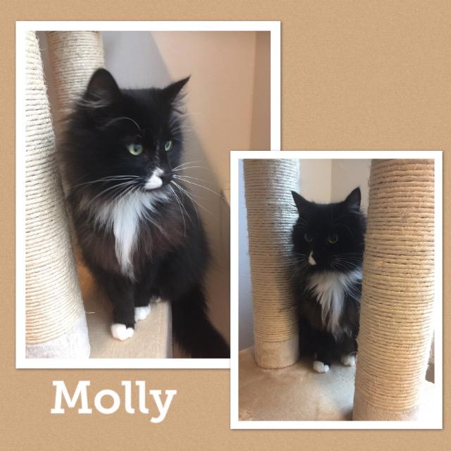 Molly0419.jpg