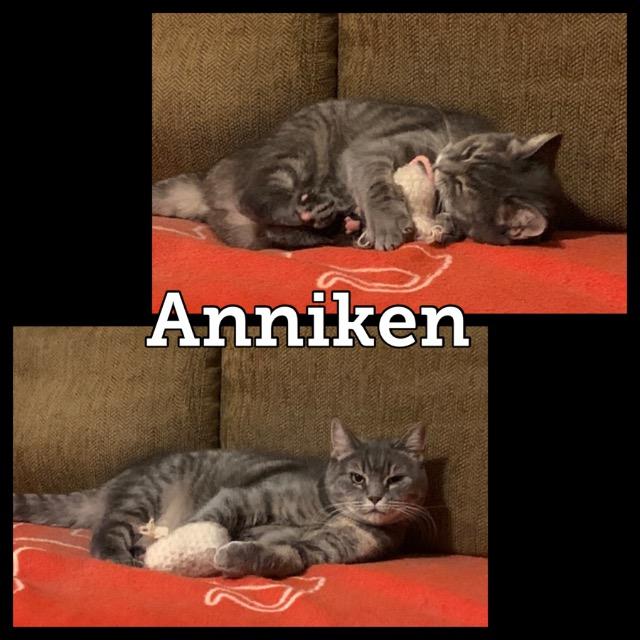 anniken0220.jpg