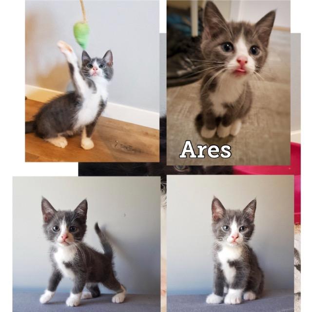 ares0819.jpg