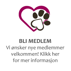 blimedlemu