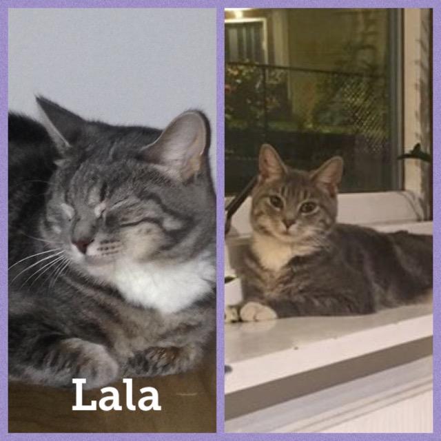 lala1119.jpg