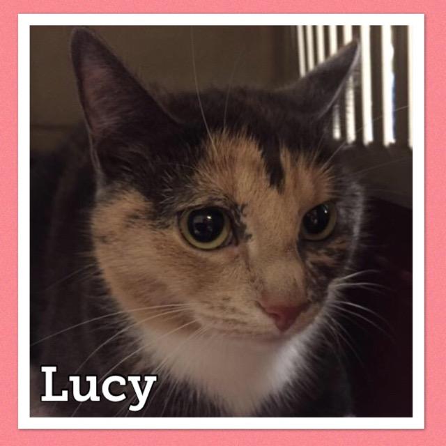 lucy1019.jpg